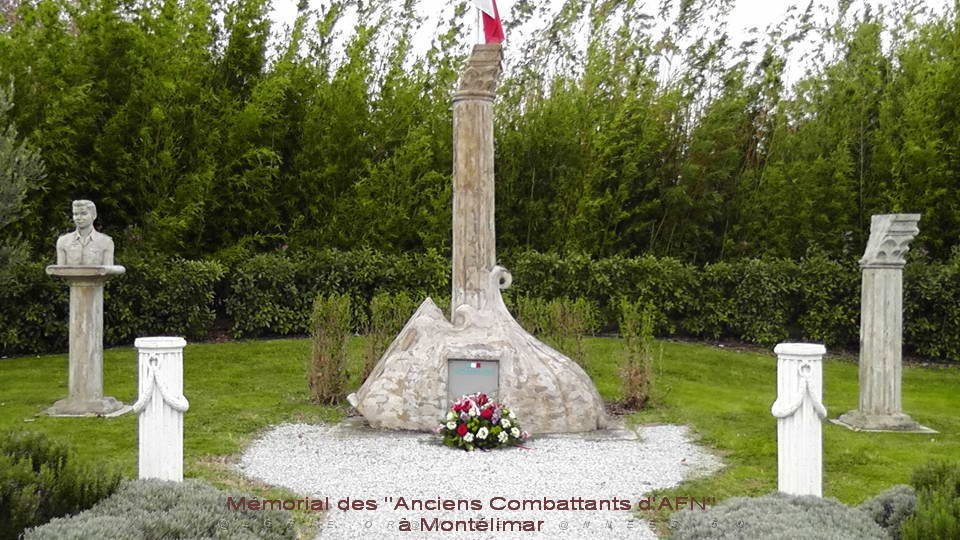 2015 12 05 MONTELIMAR HOMMAGE NATIONAL A NOS MORTS POUR LA FRANCE EN ALGERIE (9).jpg